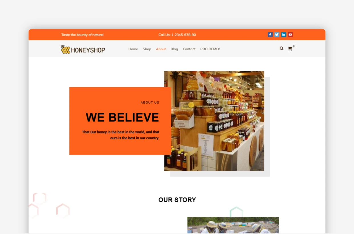Free Healthy Food WP Template