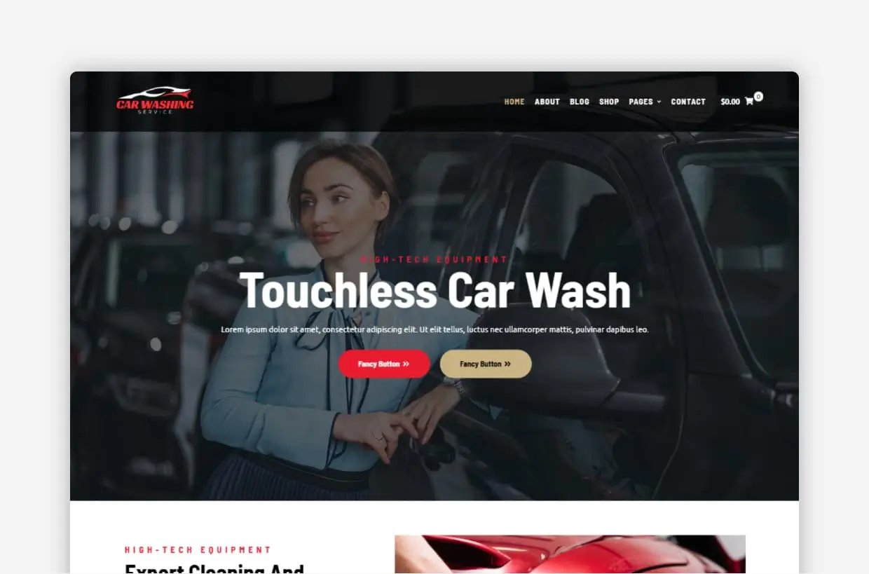 The Perfect Car Wash WordPress Theme