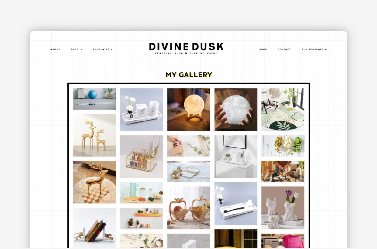 premium responsive wp theme