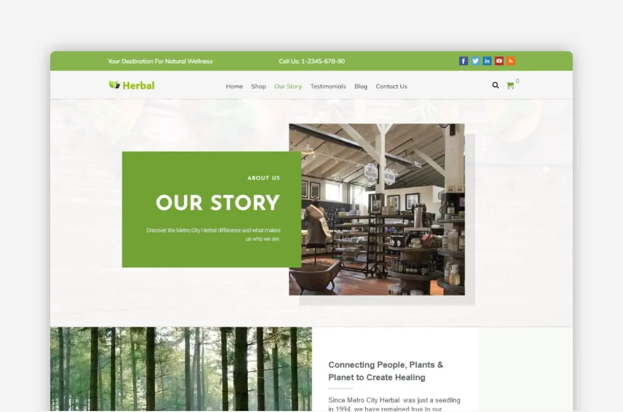 Herbal WP Theme