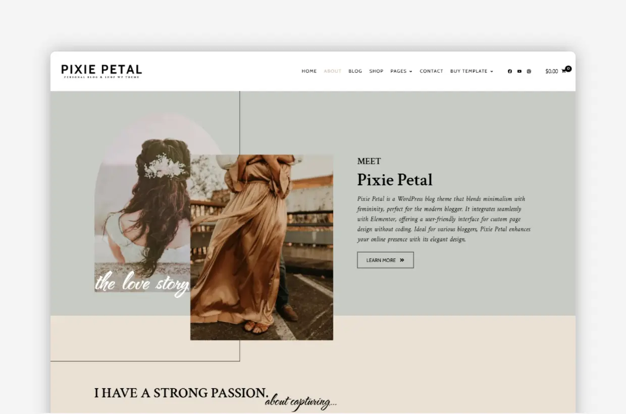 premium blog & shop wp theme