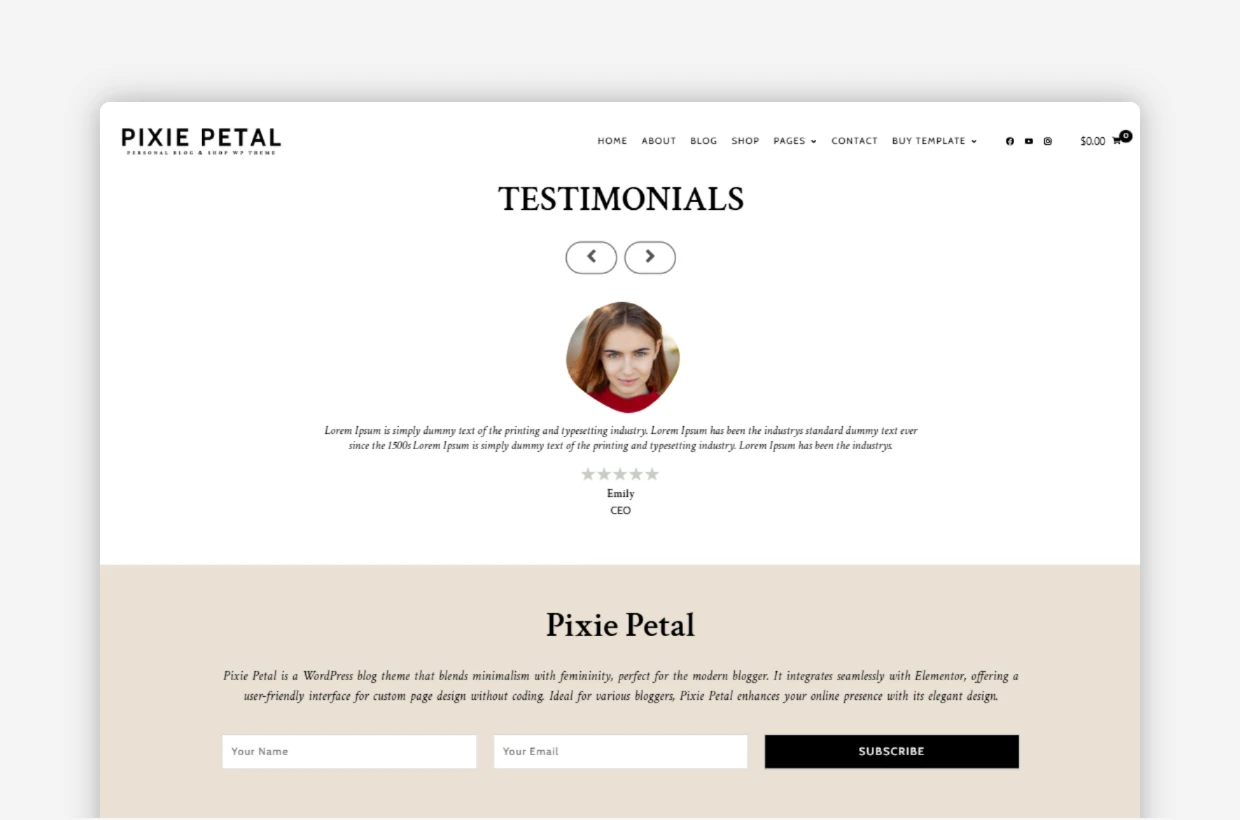 premium responsive wp theme
