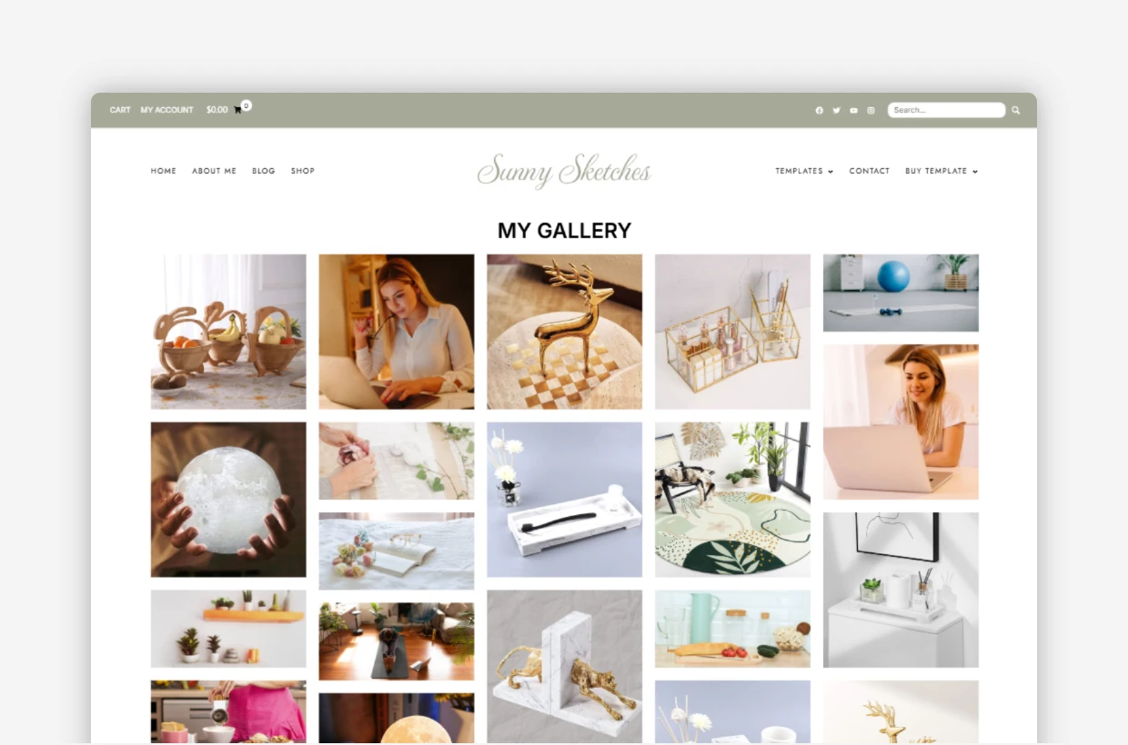 premium responsive wp theme