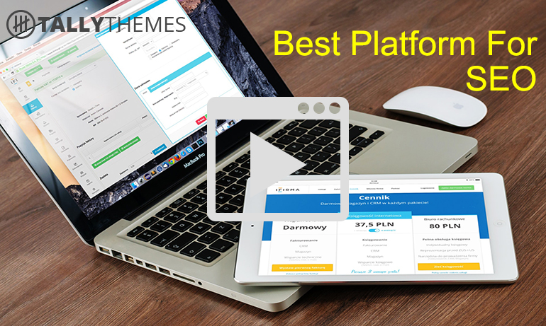 Best Platform For SEO